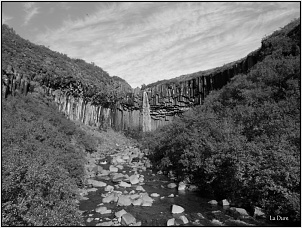 dscn0531.jpg