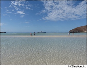 plage-mer-interview-pvt-mexique-celine-benoist.jpg