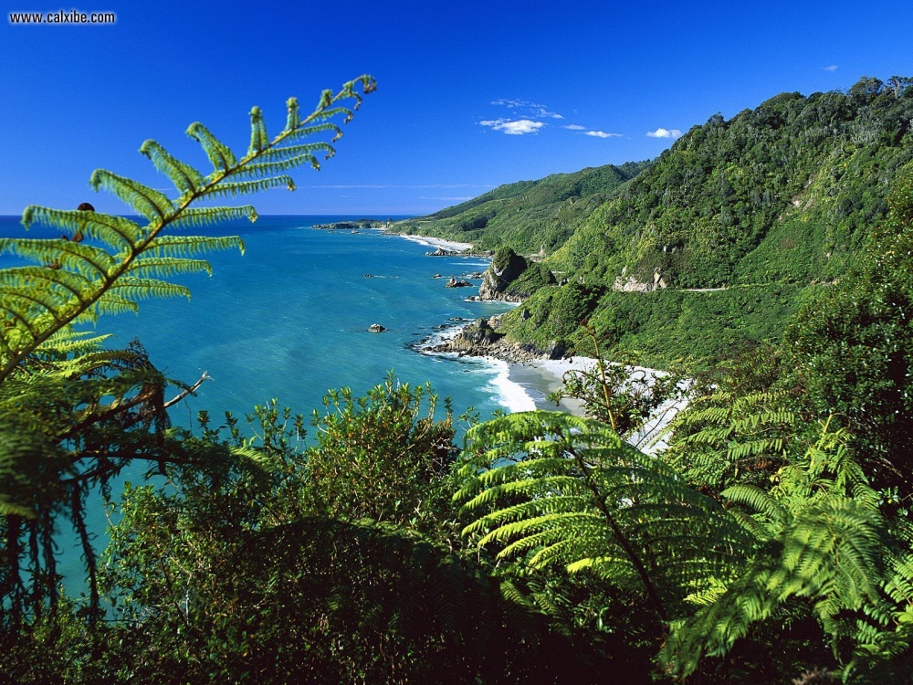 Nom : PaparoaNationalParkSouthIslandNewZealand.jpg
Affichages : 427
Taille : 447,1 Ko