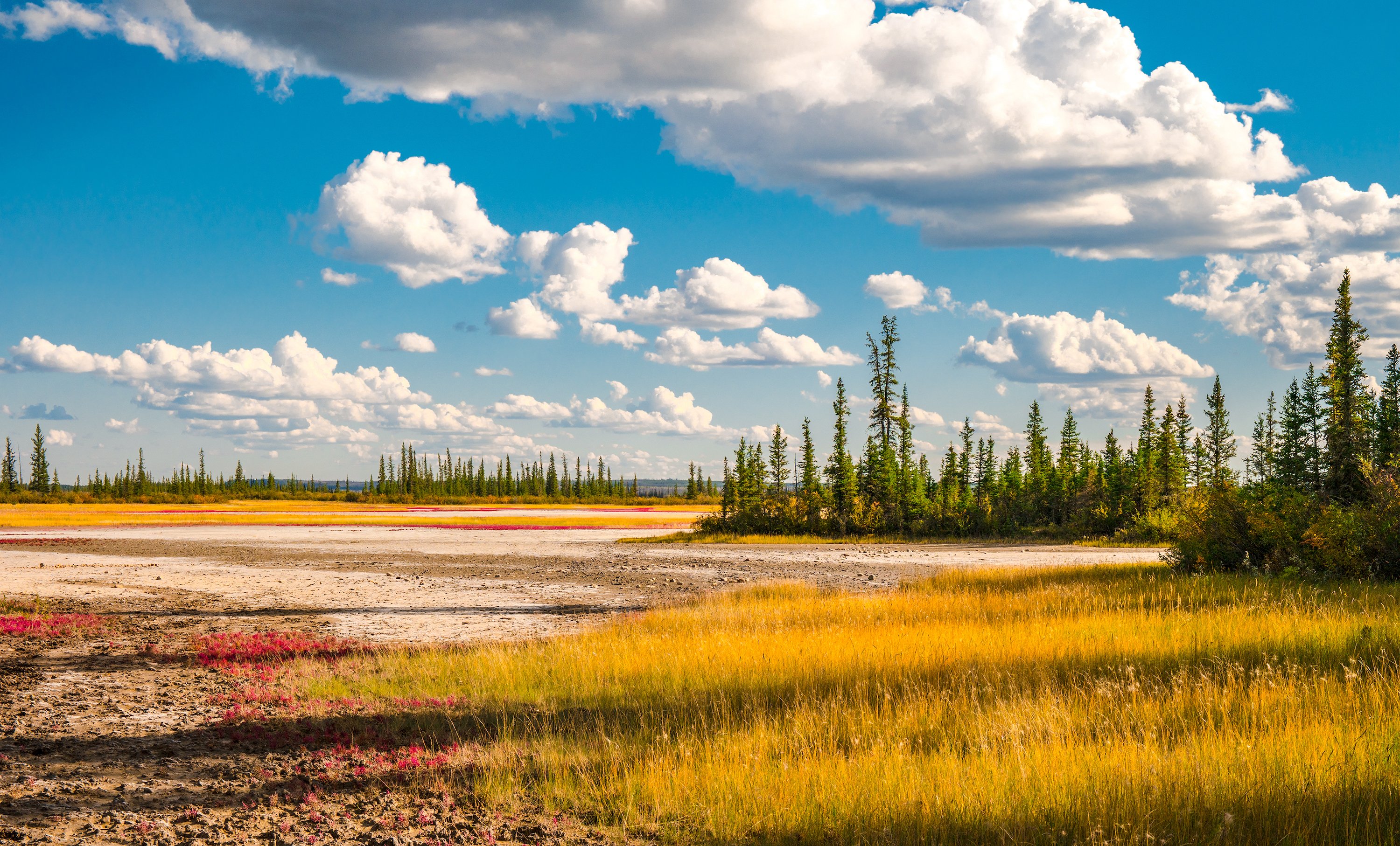 parc national de Wood Buffalo Canada