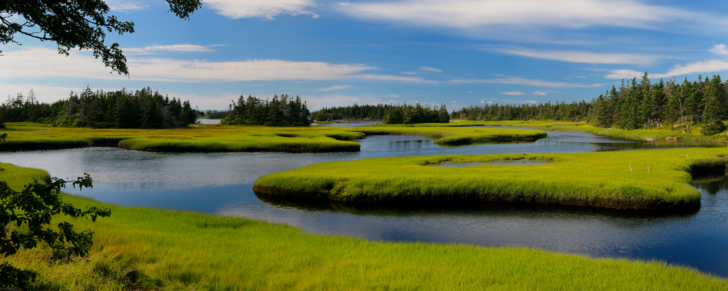 parc national Ile de Sable Nouvelle Ecosse Canada