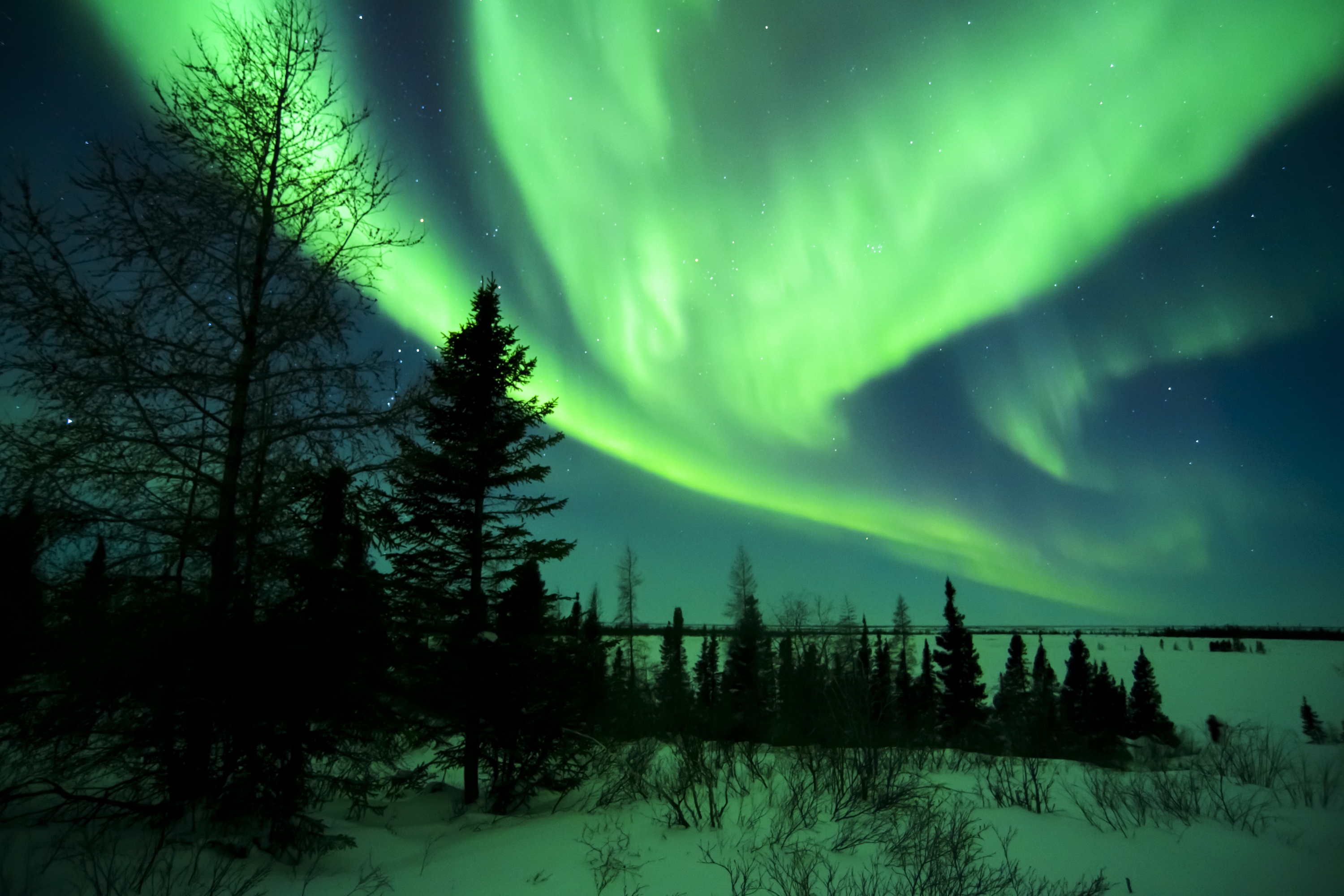 Parc national Wapusk Canada