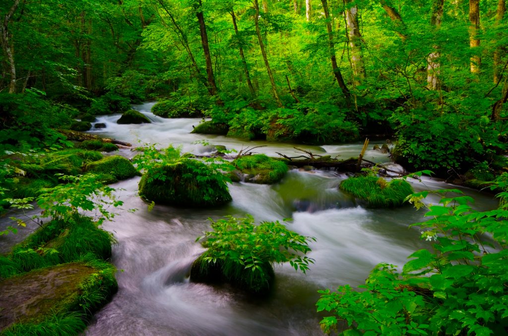 Les plus beaux parcs nationaux du Japon