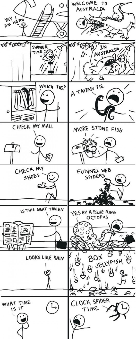 The 10 most dangerous animals in Australia (spiders, snakes...)