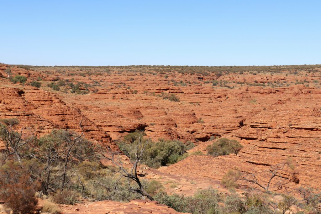 Visiter Kings Canyon en Australie