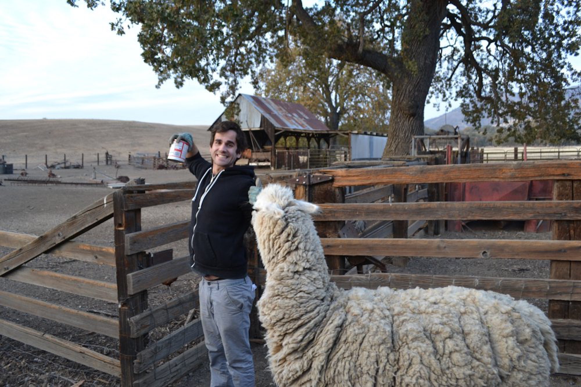 On a testé le HelpX dans un ranch californien