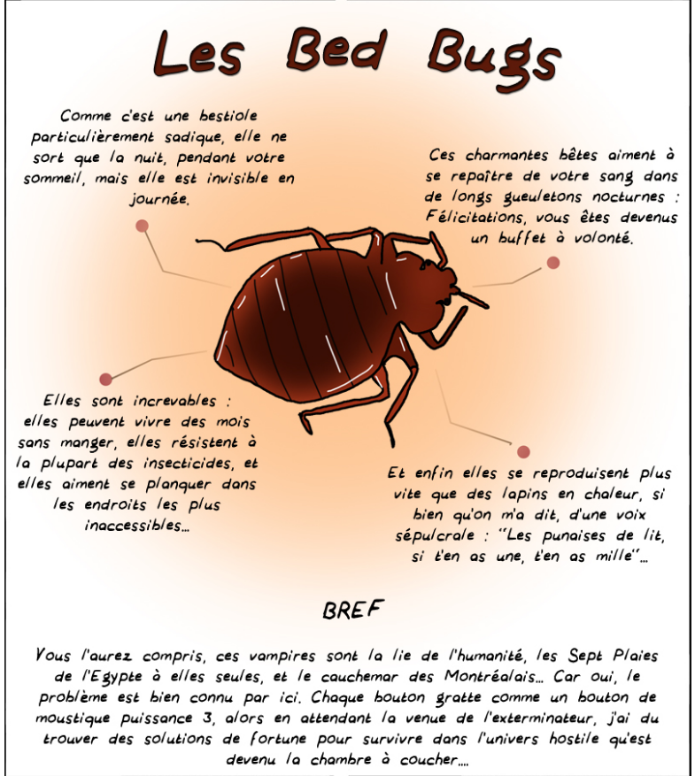 Le lundi des patates - Bedbugs a Montreal