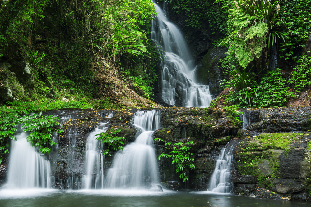 Lamington National Park-queensland