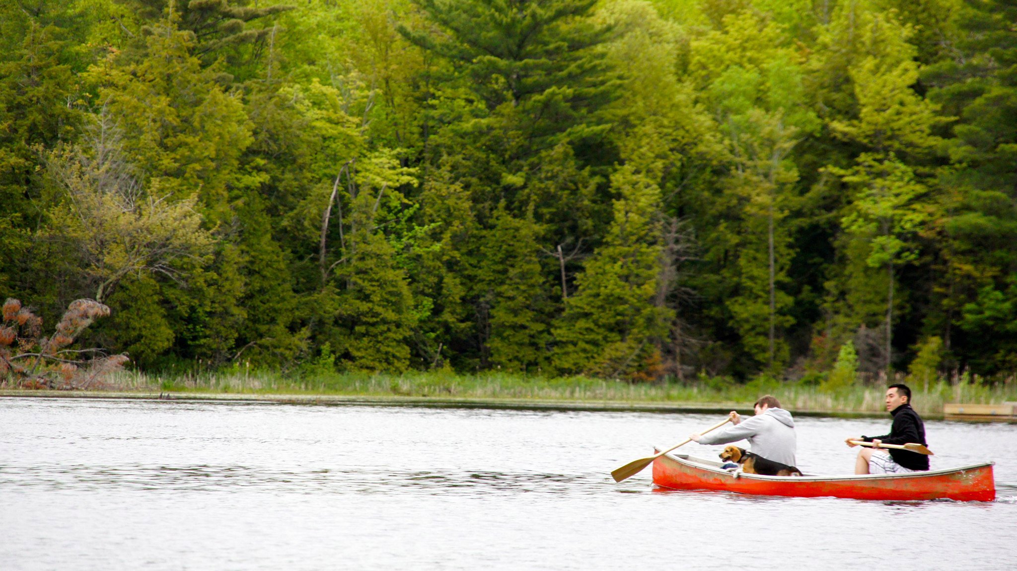 Interview Mathieu - Canoe