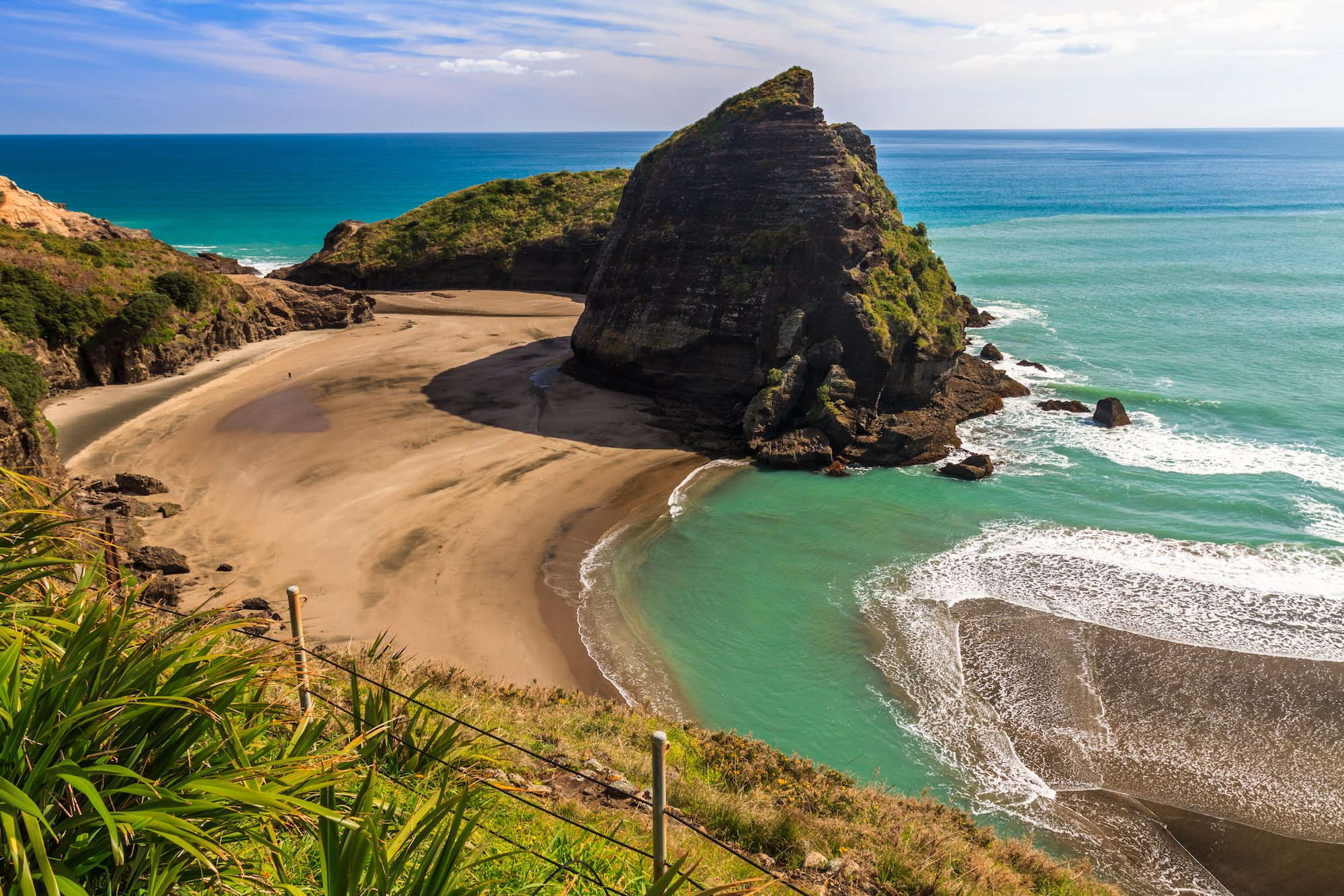 Piha beach Auckland Nouvelle-Zelande