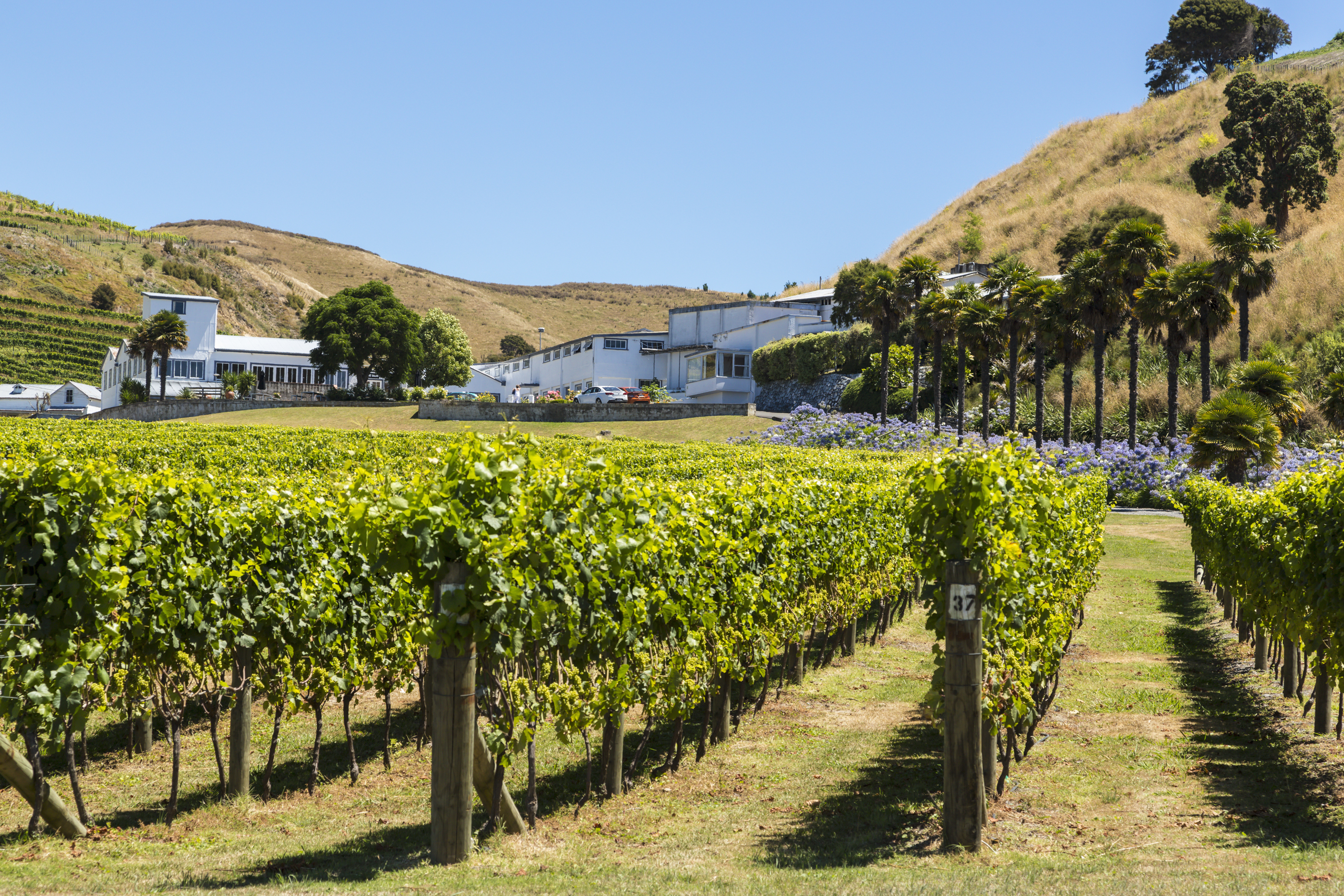 Sites de rencontre pour les agriculteurs NZ