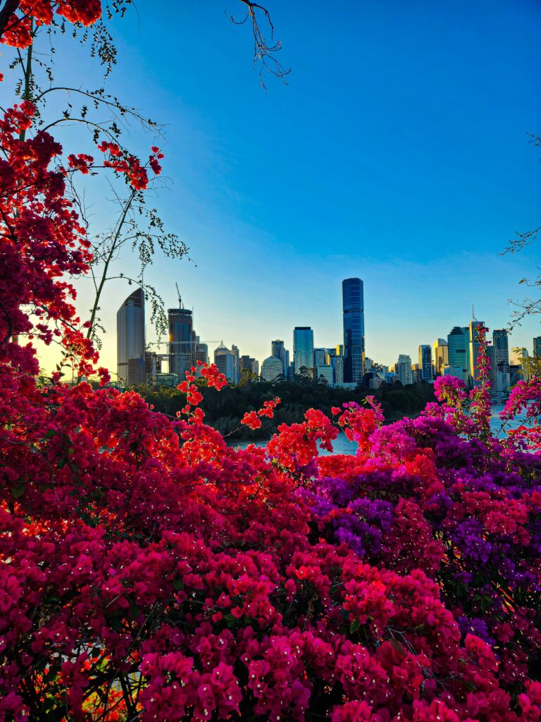 Vivre à Kangourou Point à Brisbane
