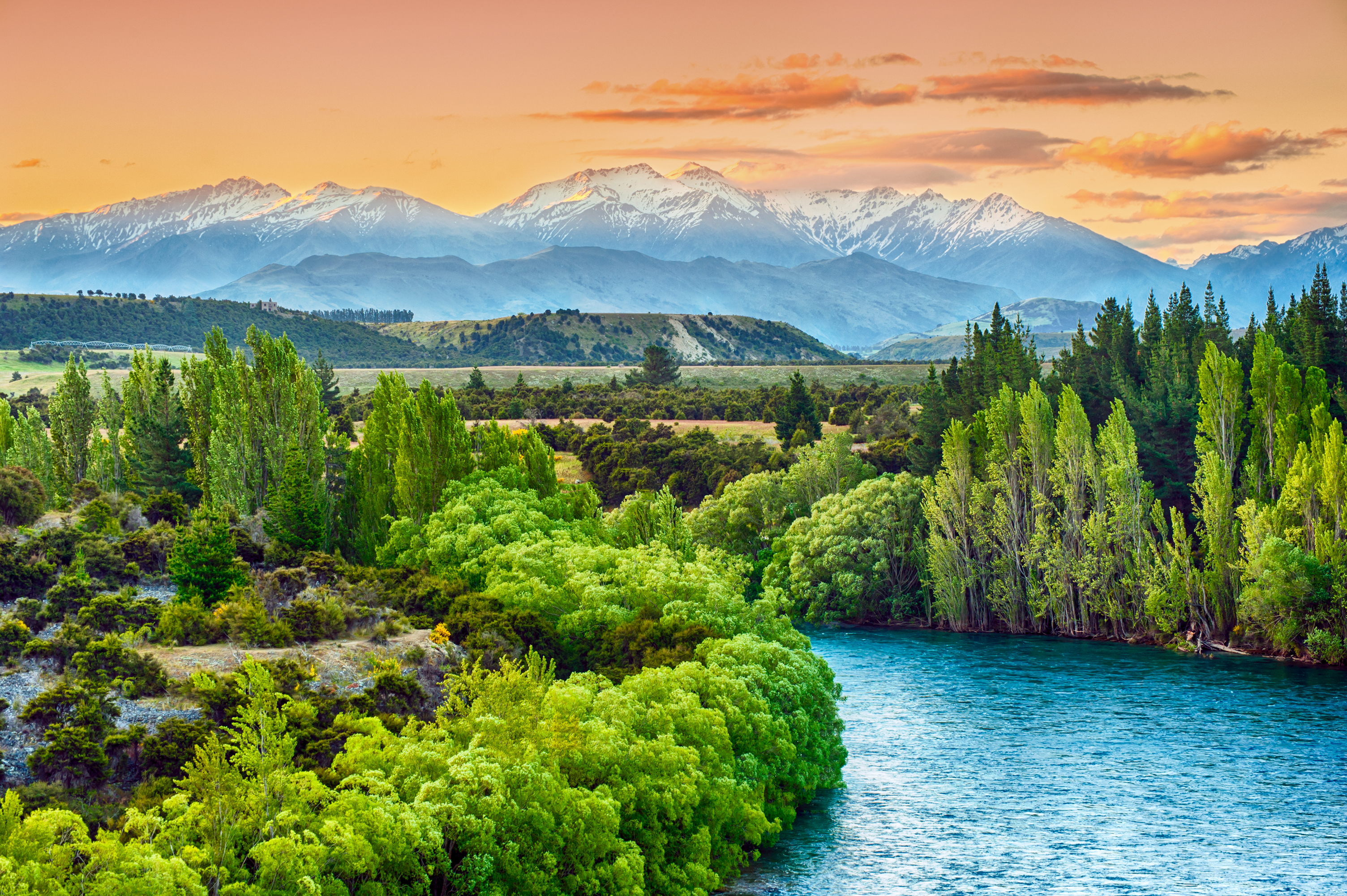 new zealand afrique du sud