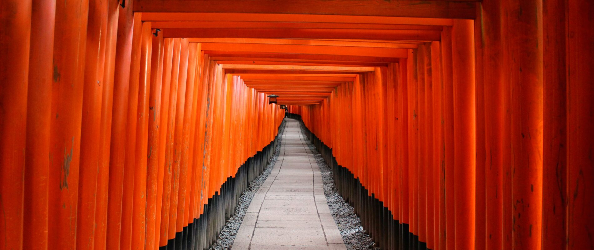 À la fin du PVT : rentrer en France ou rester au Japon ?