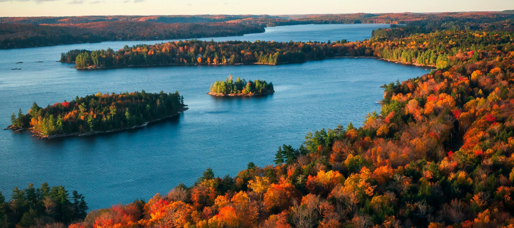 Les organisations reconnues du Canada (SWAP, Langues Canada...)