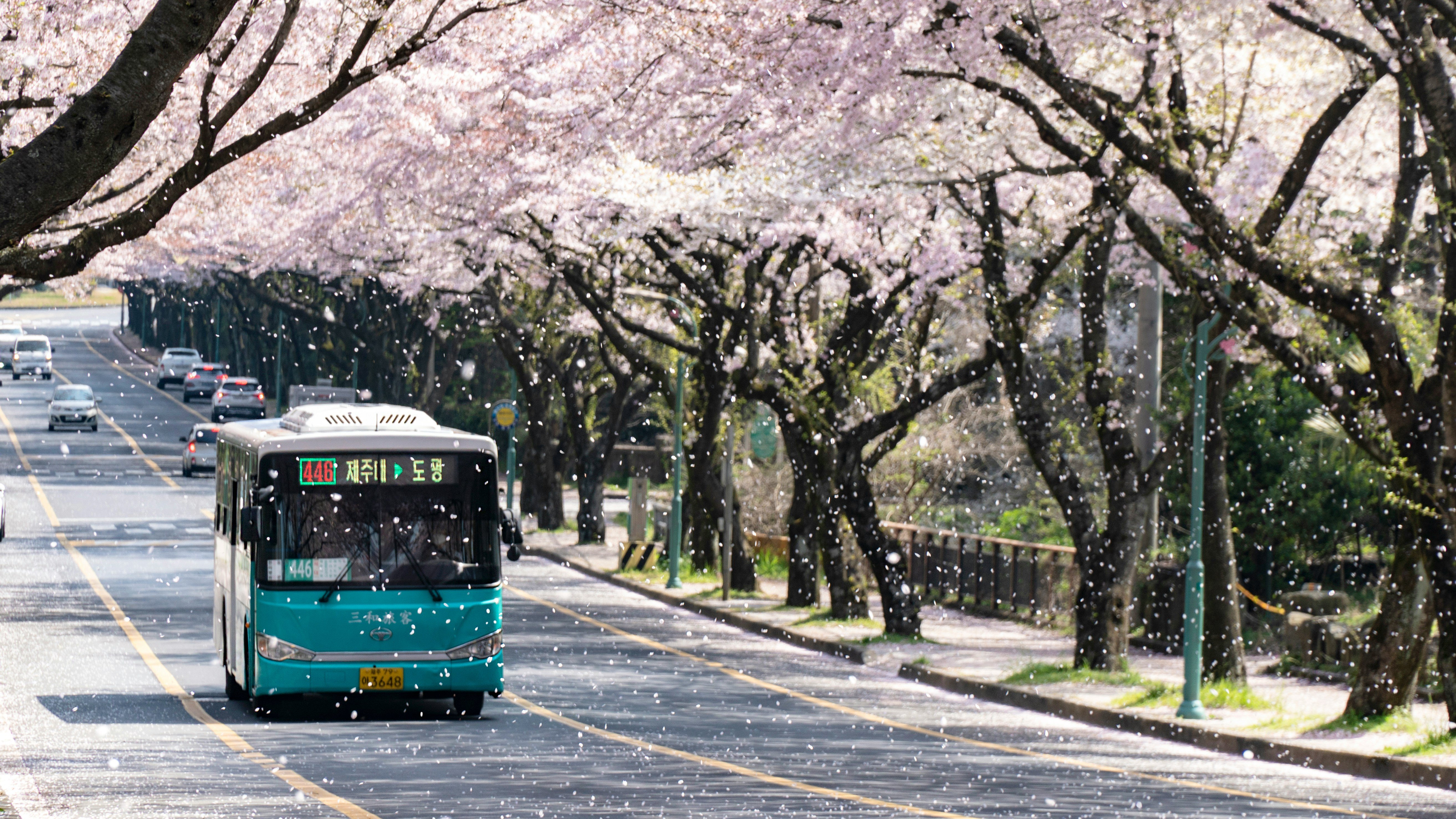 transports en coree bus