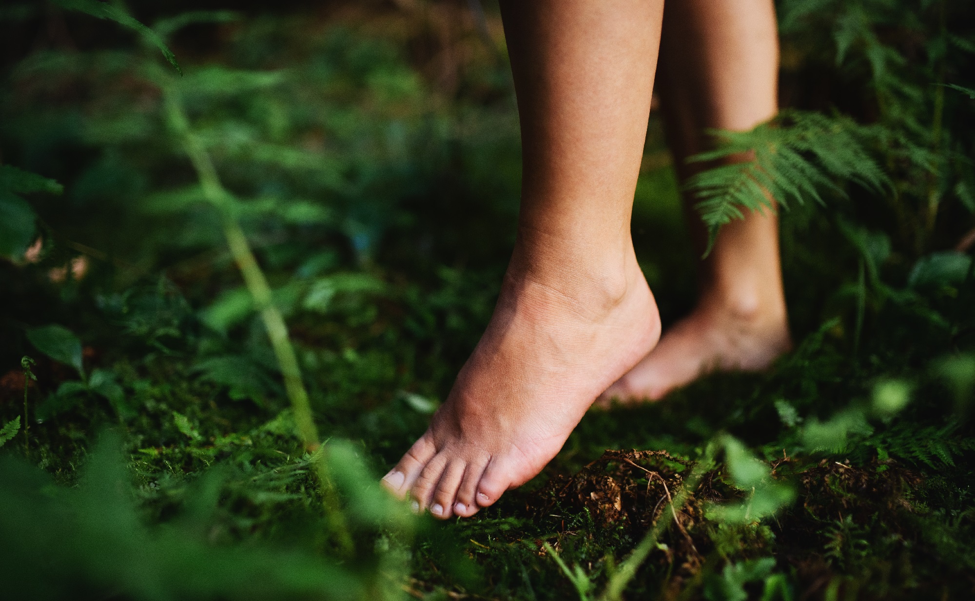 Green legs. Ноги на траве. Женские ноги в лесу. Босиком на природе. Босые женские ноги на ветке в лесу.