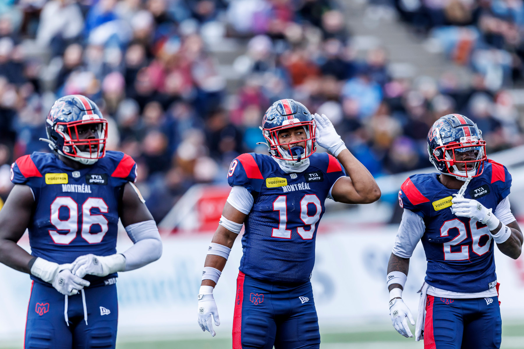 alouettes