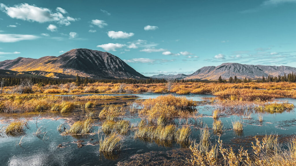 Paysage d'automne - Annie Lake road