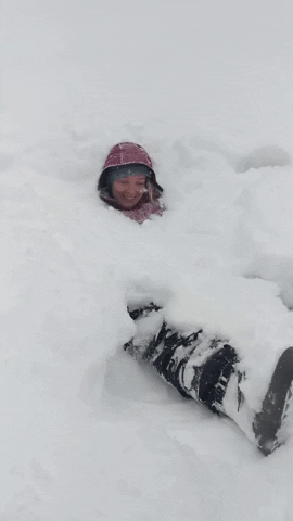 Obtenir un PVT Canada