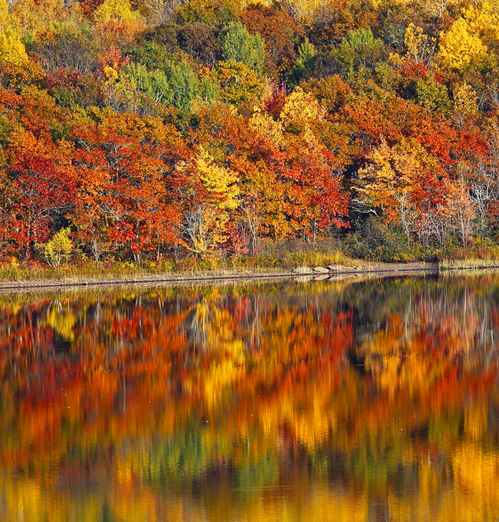 Things to do in Canada during fall