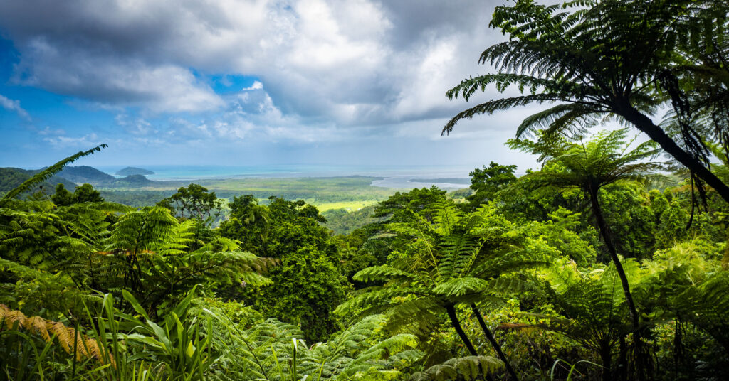 Top places to visit in Australia's states - Daintree QLD