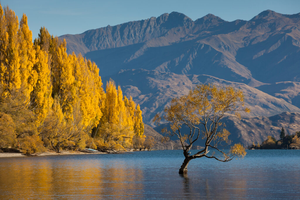 New Zealand South Island road trip - Wanaka