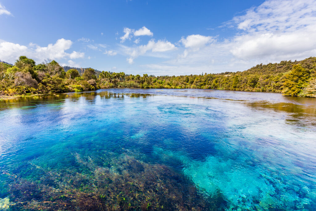 New Zealand South Island road trip - Abel Tasman