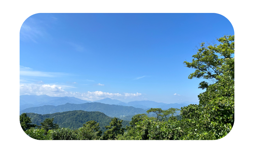 excursions depuis tokyo mont takao