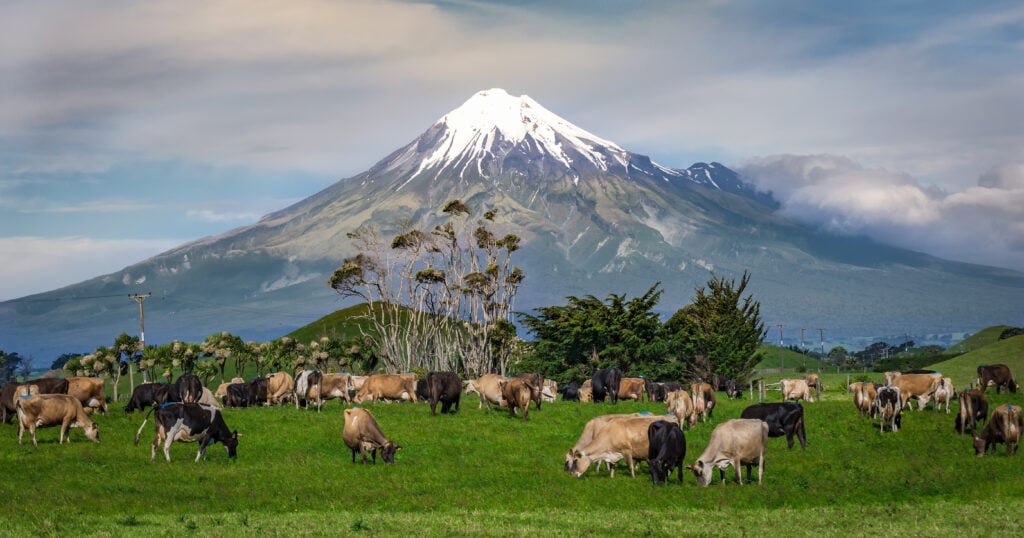 New Zealand North Island road trip itineraries - New Plymouth