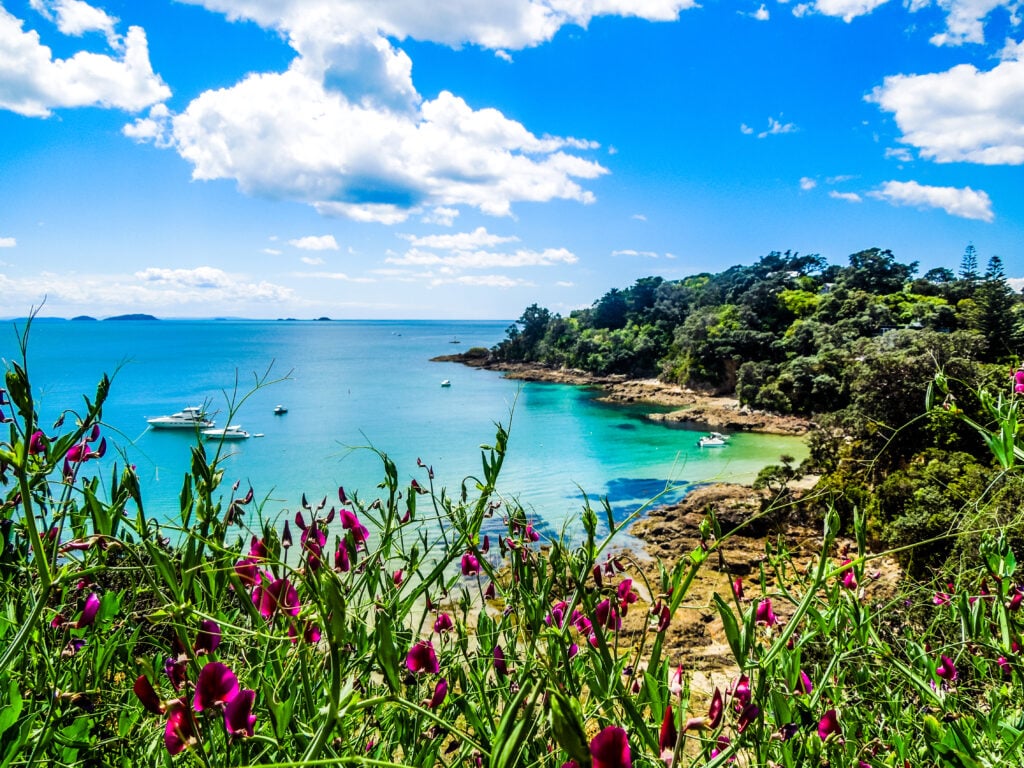 New Zealand North Island road trip itineraries - Waiheke