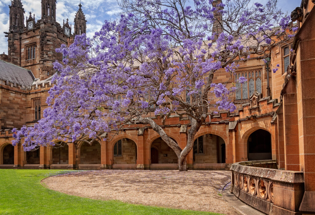 University of Sydney