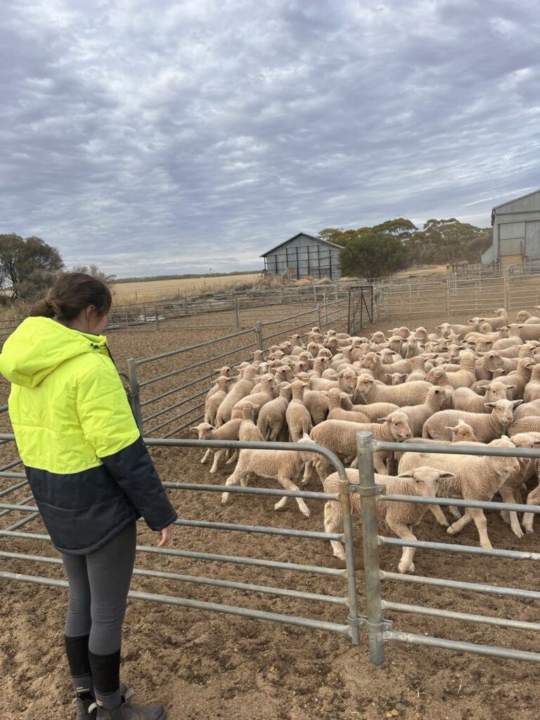 Trouver du travail en Australie