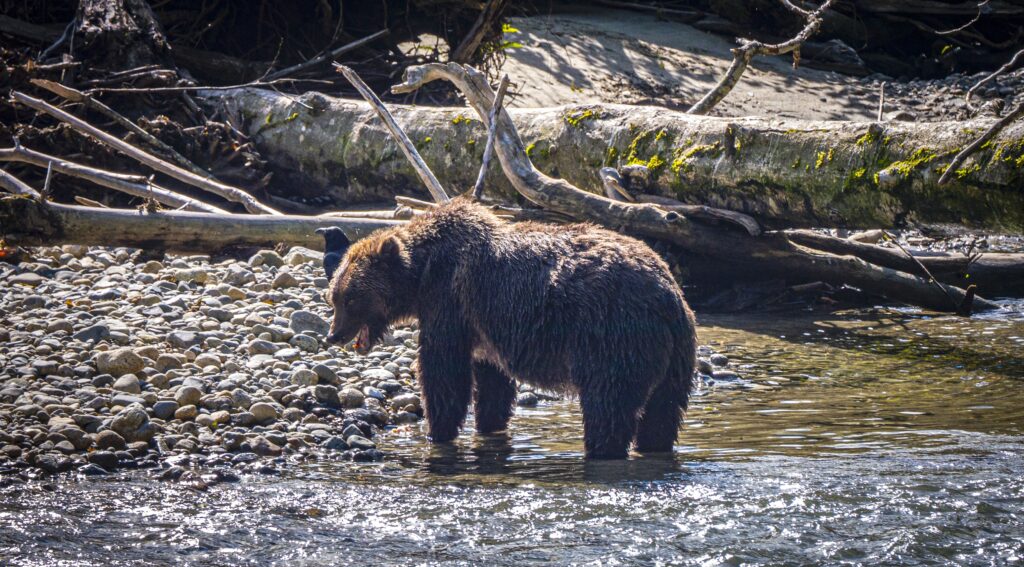 Top 10 places to visit Vancouver Island