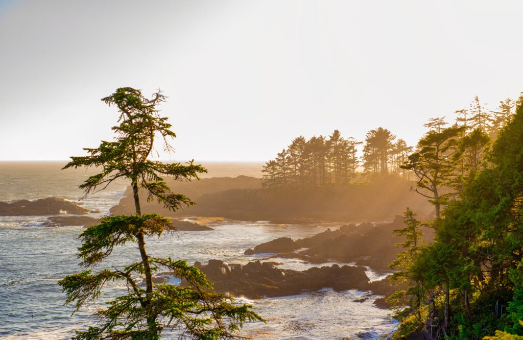 Top 10 places to visit Vancouver Island