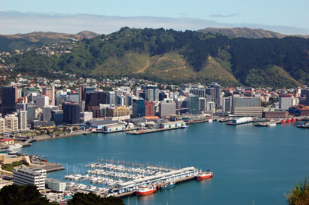 10 free things to do in Wellington