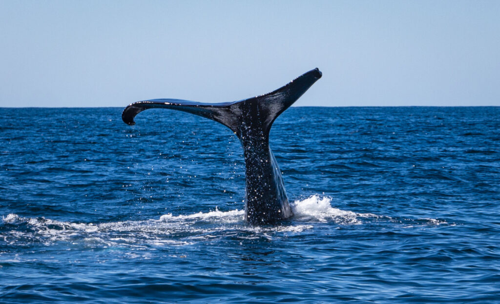 Top 10 places to have on your New Zealand bucket list
