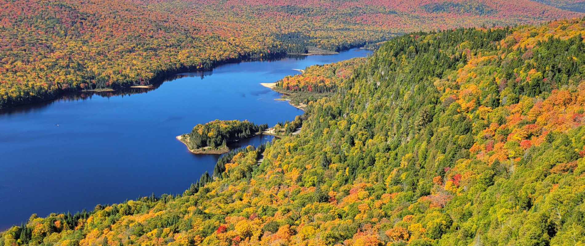 Romain's story: getting Lyme disease during a working holiday in Canada