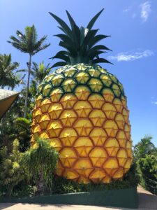 I visited Australia’s best Big Things: Big pineapple