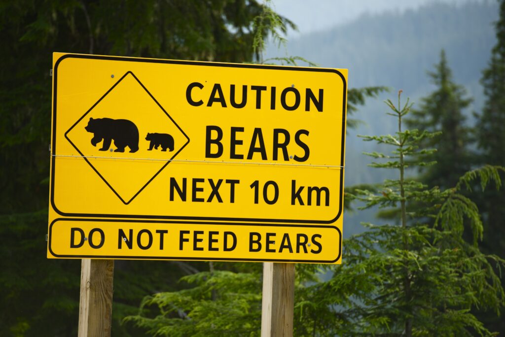 Essential safety tips for the great outdoors in Canada: A sign warning not to feed bears