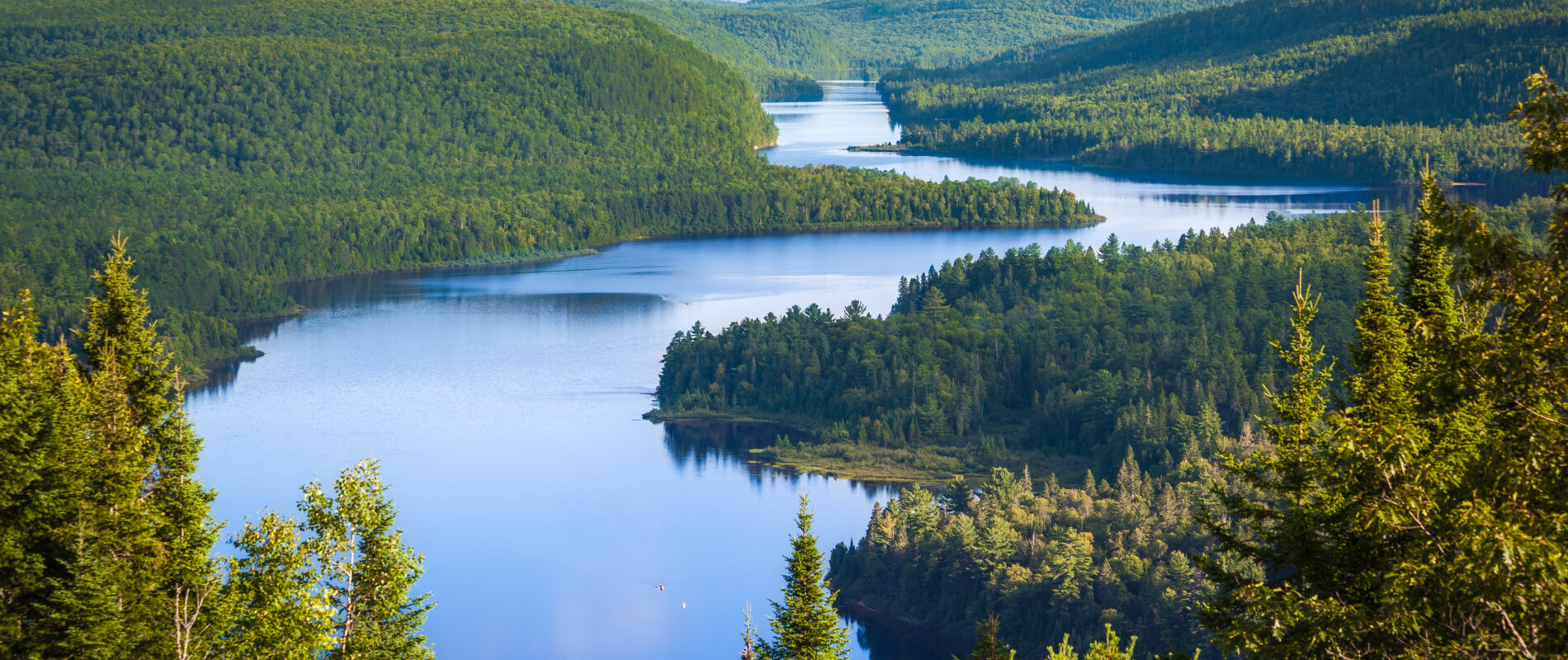 On a testé 8 types de volontariats différents au Canada