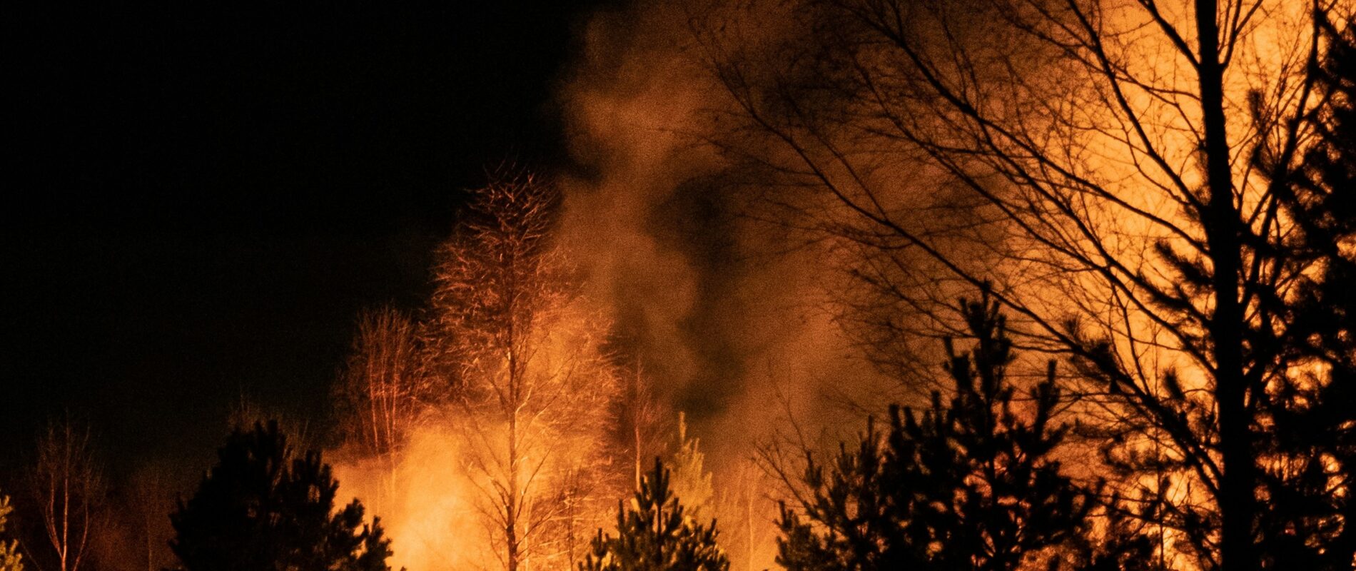 Canada introduces measures to support those affected by wildfires