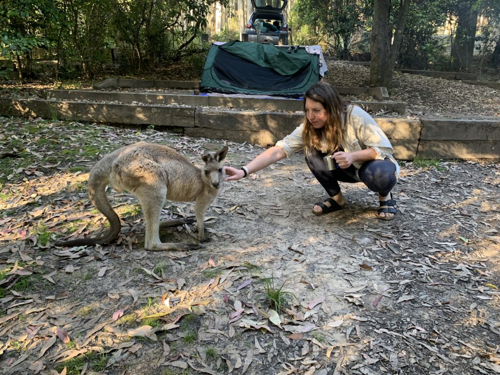 PVT Australie 