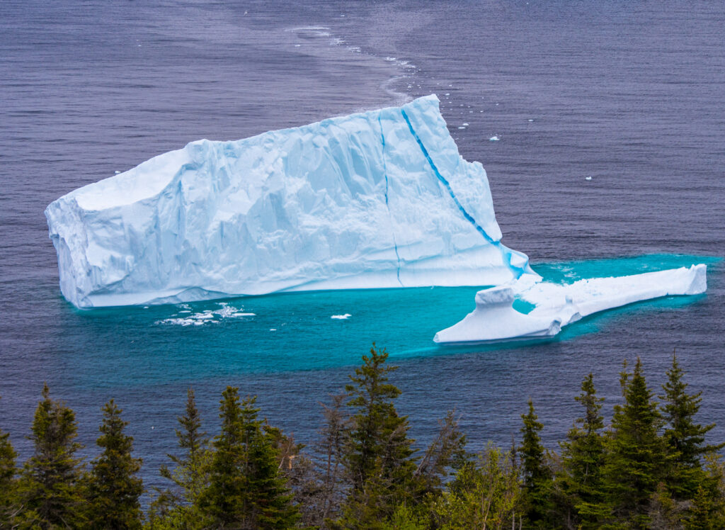 10 reasons to go to Newfoundland during your Canadian working holiday: icebergs