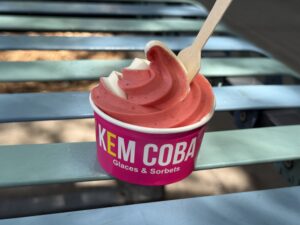 I tried and rated the viral foods in Montreal so you don’t have to - ice cream