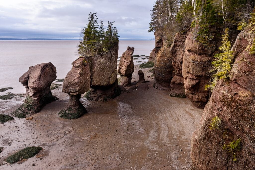 Top 10 places to visit in the Canadian Maritimes: hopewell rocks flowerpot formations