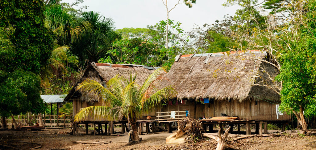 Amazonie Colombienne