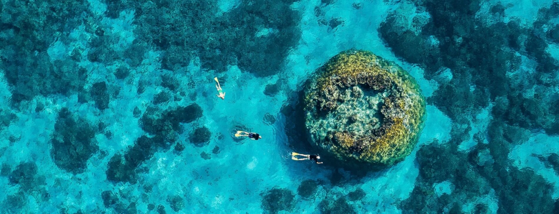 Grande Barrière de corail en Australie : activités, jobs et conseils pratiques