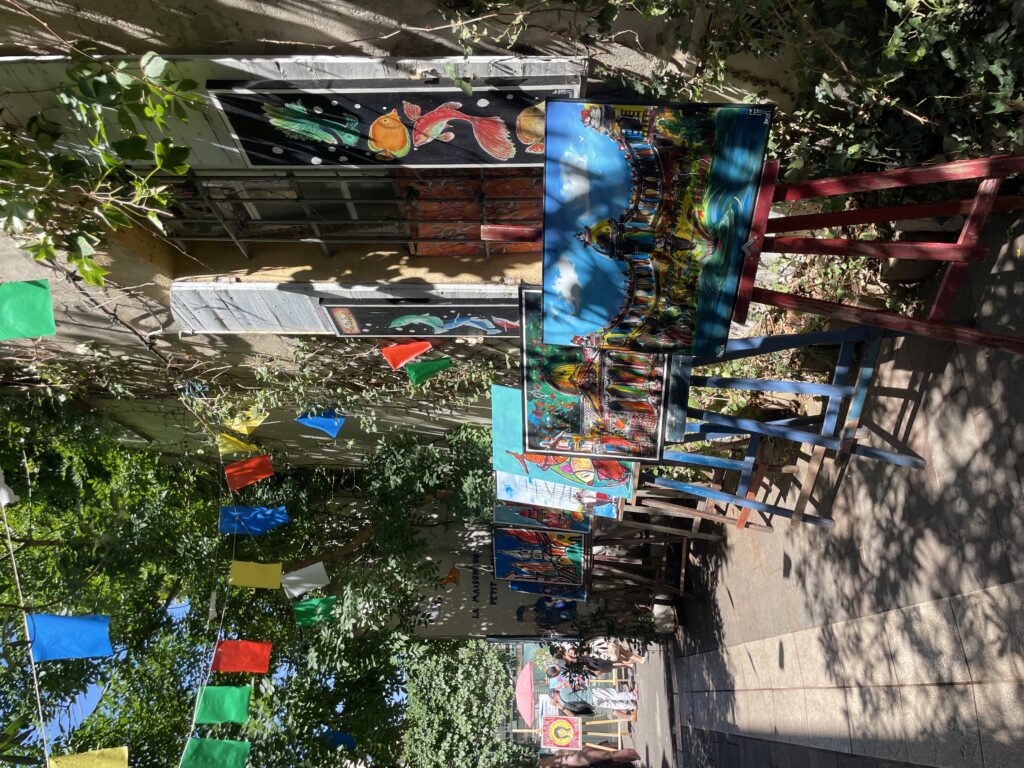 montpellier anika 1