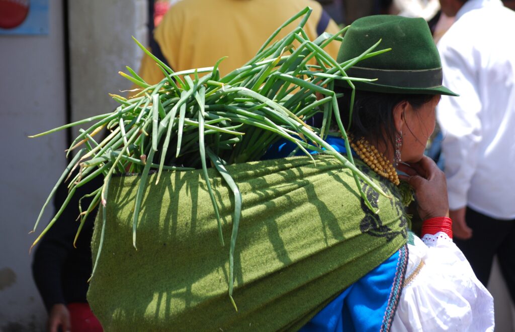 choisir PVT Équateur